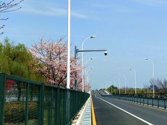 -阳澄湖半岛旅游度假区