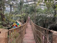 -呀路古热带植物园