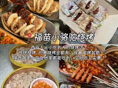 -福苗小骆驼烧烤(莲湖路店)