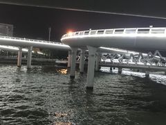 -演武大桥观景平台