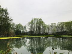 -桤木河湿地公园