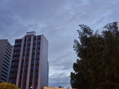 -浦江城市生活广场(江月路店)