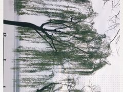 -苏堤停车场