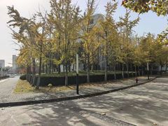 -上海第二工业大学(金海路校区)