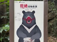 -合肥野生动物园