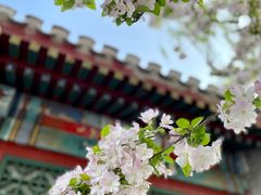 -海棠花溪(元大都城垣遗址公园)