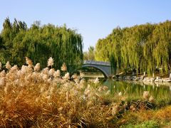 -大兴滨河森林公园