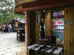 -大鹅岛绿色生态美食园