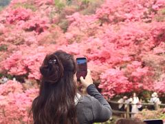 -木兰云雾山