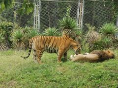 -西安秦岭野生动物园