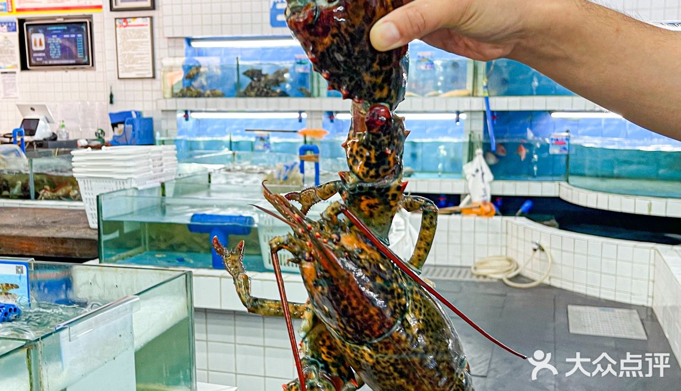 三亚美食必吃榜❗️达叔海鲜平价大排档
