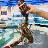 三亚美食必吃榜❗️达叔海鲜平价大排档