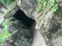 -珠海圆明新园