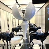 北京｜没人不爱的skp-s