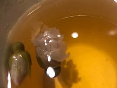 -海底捞火锅(邯郸新世纪中心店)