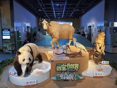 -陕西自然博物馆