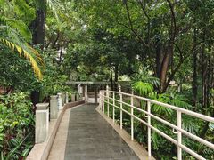 -九龙公园