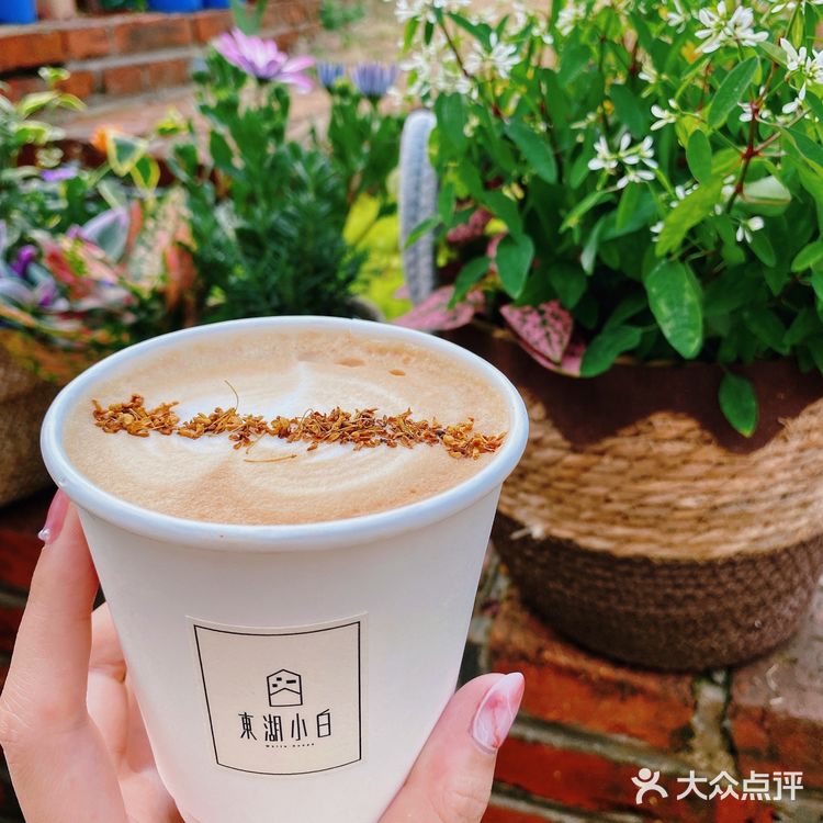 可以带狗狗探店的咖啡店 太棒啦
