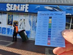 -悉尼海洋生物水族馆