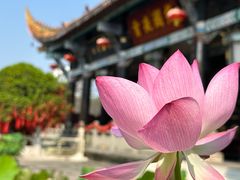 -什邡罗汉寺