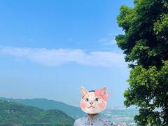 -铁山坪森林公园