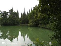 -宝岩生态观光园