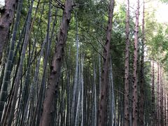 -同里国家湿地公园