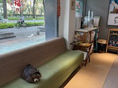 -御宝贝·A梦猫科宠物医院(国际猫友好医院)