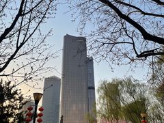-大望京公园
