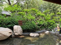 -西安国际创新人才交流中心•药浴温泉