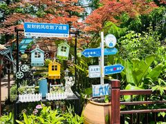 -东平国家森林公园