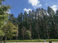 -上海虹桥迎宾馆