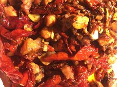 -柴窝堡22号辣子鸡·传承新疆菜