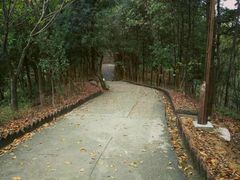 -大桥道食品商店(咸阳路店)