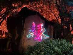 -杭州黄龙洞