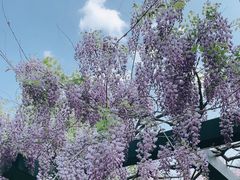 -北京市劳动人民文化宫(太庙)