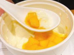 芒果双皮奶-炖物24章·顺时轻养茶(杭州大厦店)