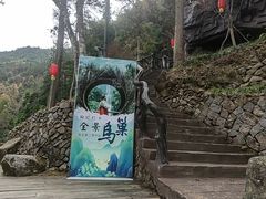 -刘伯温故里景区百丈漈