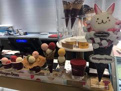 零售区-哈根达斯(武汉天地店)