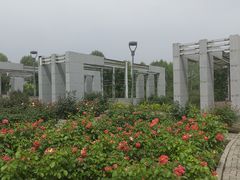 -石家庄市植物园