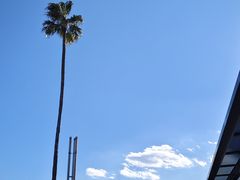 -名古屋港