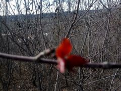 -新疆天山野生动物园