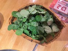 -朱光玉火锅馆(龙阳广场店)