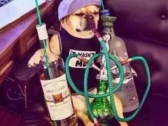 -京粤荟(海王银河科技大厦店)