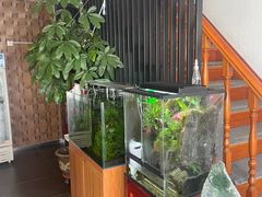 -繁花足道(梅江店)