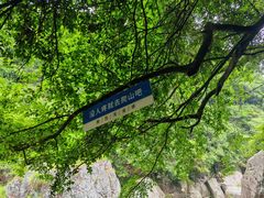 -石台牯牛降景区