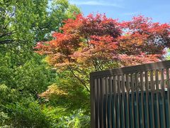 -同里国家湿地公园