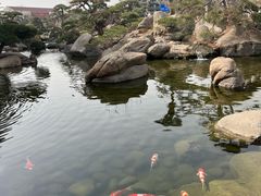 -罗红摄影艺术馆