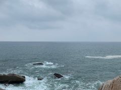 -广东惠东海龟国家级自然保护区