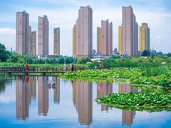 -前关湿地公园